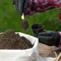 Why Healthy Soil is the Secret to Successful Farming
