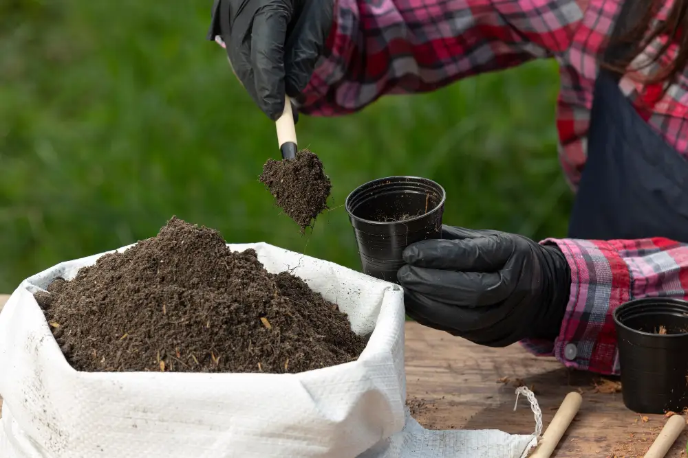 Healthy Soil Preparation