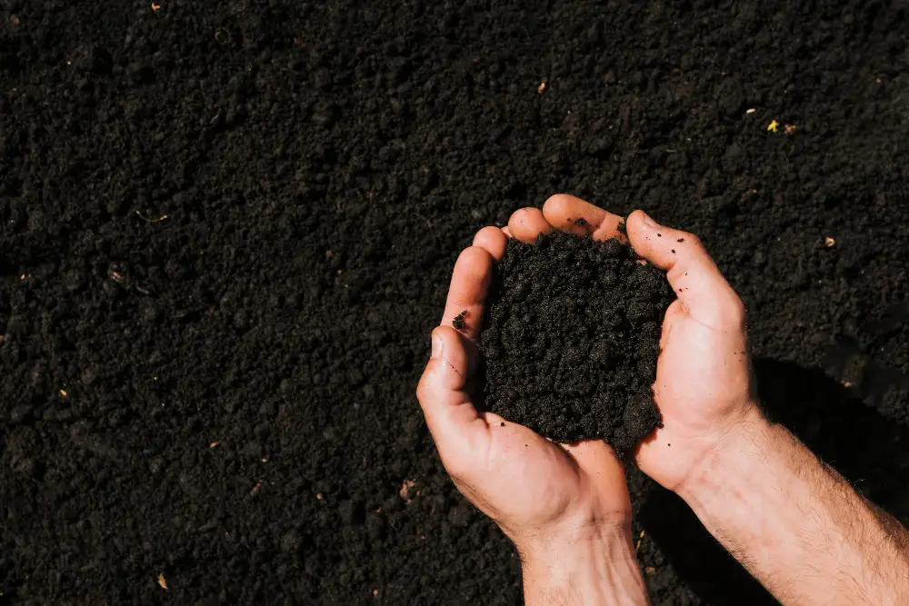 Soil Testing